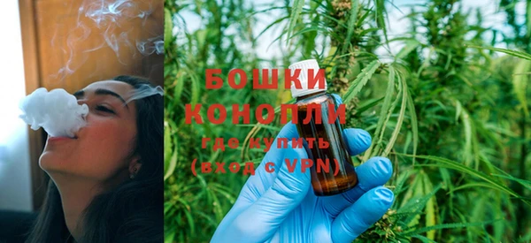 PSILOCYBIN Баксан