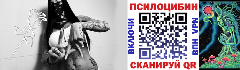 Галлюциногенные грибы прущие грибы блэк спрут ссылки Пудож